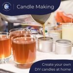 Mystic Moments | Sandalwood Fragrance Oi... - Image 6
