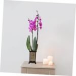 Sosoport Potted Flower Pots Nursery Pot ... - Image 5