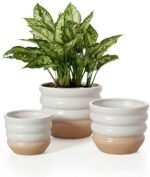 Ceramic Pots for Plants, 5/6/7 inch Stac... - Image 2