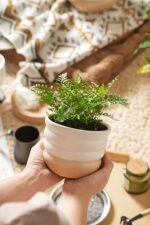 Ceramic Pots for Plants, 5/6/7 inch Stac... - Image 4