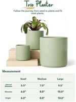 LE TAUCI Large Plant Pots Set, 10/8/6 In... - Image 6