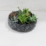 Elegant Cottage Lotus Bowl, Accent Bowl,... - Image 3