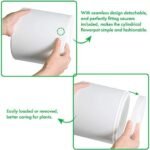 D'vine Dev 6 Inch 6.5 Inch 8 Inch, Set o... - Image 7