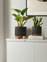 LE TAUCI Ceramic Plant Pots with Drainag... - Image 3