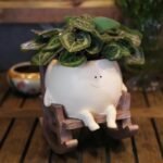 Face Planter Pots for Indoor Plants Cute... - Image 2