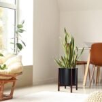 D'vine Dev Planter Pot with Stand - 14 I... - Image 5