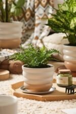 Ceramic Pots for Plants, 5/6/7 inch Stac... - Image 3