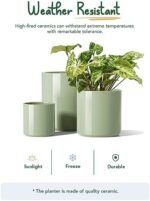 LE TAUCI Large Plant Pots Set, 10/8/6 In... - Image 8