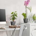 Plant and Flower Pot 2/1 Set, Heavy Duty... - Image 5