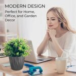 Plant and Flower Pot 2/1 Set, Heavy Duty... - Image 8