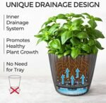 Plant and Flower Pot 2/1 Set, Heavy Duty... - Image 6