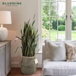 Plant Baskets – Large Seagrass Plant Pot... - Image 7