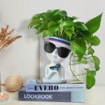 Face Planter/Flower Pot for Indoor Outdo... - Image 5