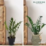 Plant Baskets – Large Seagrass Plant Pot... - Image 5