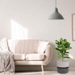 Cotton Rope Plant Basket Modern Woven Ba... - Image 7