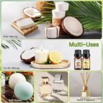 Blueberry Fruit Essential Oils - Fragran... - Image 6