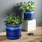 8 Inch Plant Pots : Ceramic Planter Pot ... - Image 7