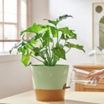 FaithLand 2-Pack 10 Inch Planter Pots fo... - Image 7