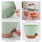 SE SUN-E Self Watering Planters Planting... - Image 4