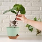 SE SUN-E Self Watering Planters Planting... - Image 5
