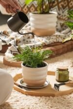 Ceramic Pots for Plants, 5/6/7 inch Stac... - Image 7