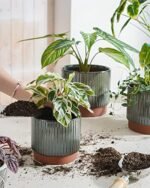 LE TAUCI Ceramic Plant Pots with Drainag... - Image 4