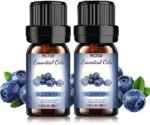 Blueberry Fruit Essential Oils - Fragran... - Image 2
