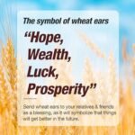 airnasa Wax Warmer for Scented Wax, Elec... - Image 4