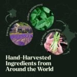 Essential Oils Set - Top 20 Gift Set Oil... - Image 6