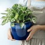 8 Inch Plant Pots : Ceramic Planter Pot ... - Image 6