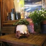 Face Planter Pots for Indoor Plants Cute... - Image 7