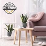 Plant and Flower Pot 2/1 Set, Heavy Duty... - Image 7