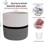 Cotton Rope Plant Basket Modern Woven Ba... - Image 4