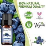 Blueberry Fruit Essential Oils - Fragran... - Image 3