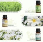 SALUBRITO Spring Essential Oils Set - Af... - Image 3