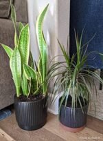 LE TAUCI Ceramic Plant Pots with Drainag... - Image 8