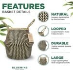 Plant Baskets – Large Seagrass Plant Pot... - Image 3