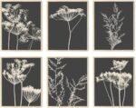 Botanical Wall Art Set of 6, Minimalist Abstract B... - Image 2
