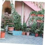 KONTONTY 1 Set Vegetable Pot Pots for In... - Image 10